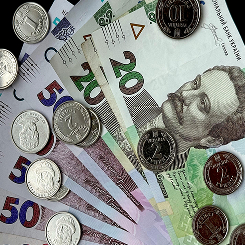 Отримуєте дохід: